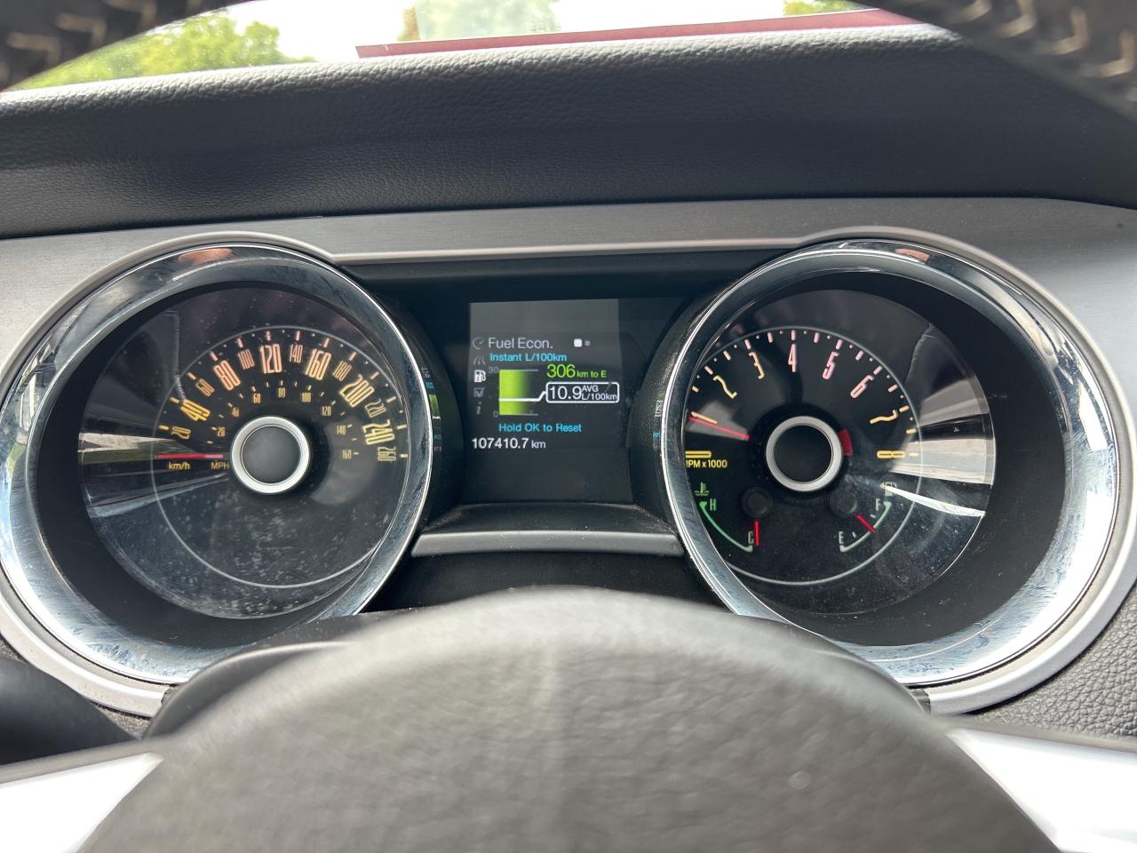 13063304