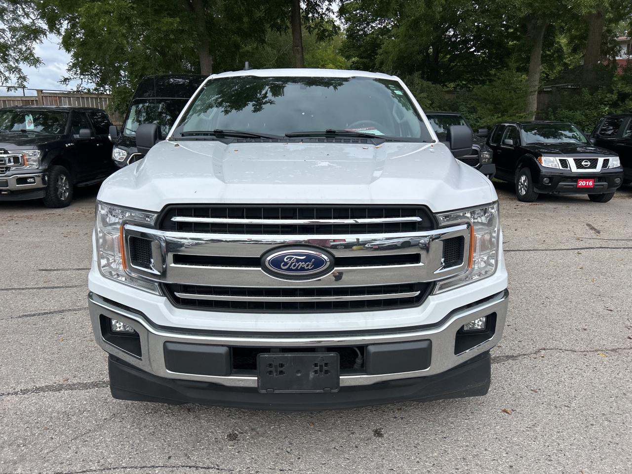2019 Ford F-150 XLT, RWD, REG CAB, LONG BOX, CLEAN CARFAX! - Photo #3
