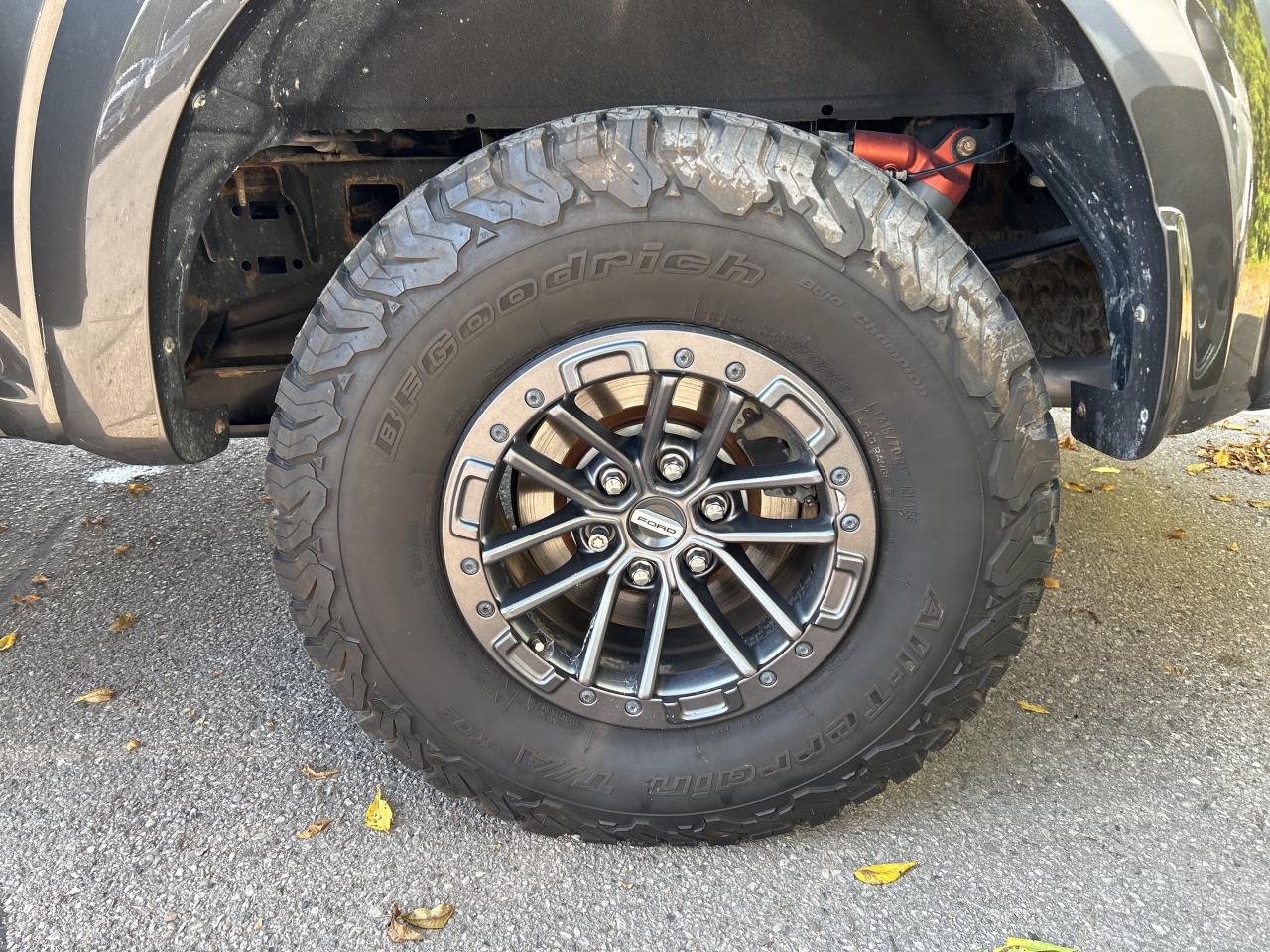 2019 Ford F-150 RAPTOR, SUNROOF, REMOTE START, LEATHER! - Photo #10