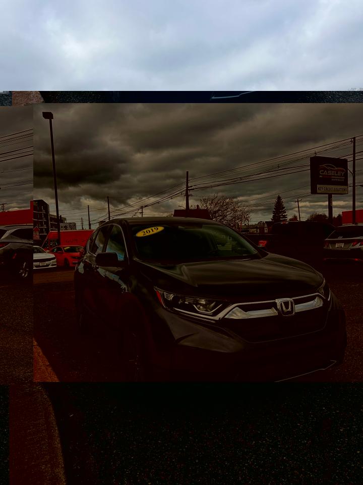 2019 Honda CR-V LX Photo2