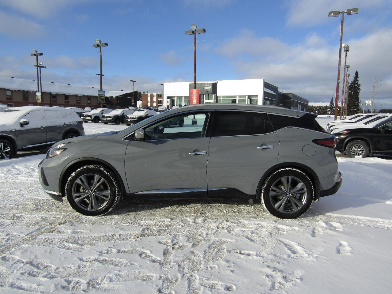 2022 Nissan Murano Platinum Photo