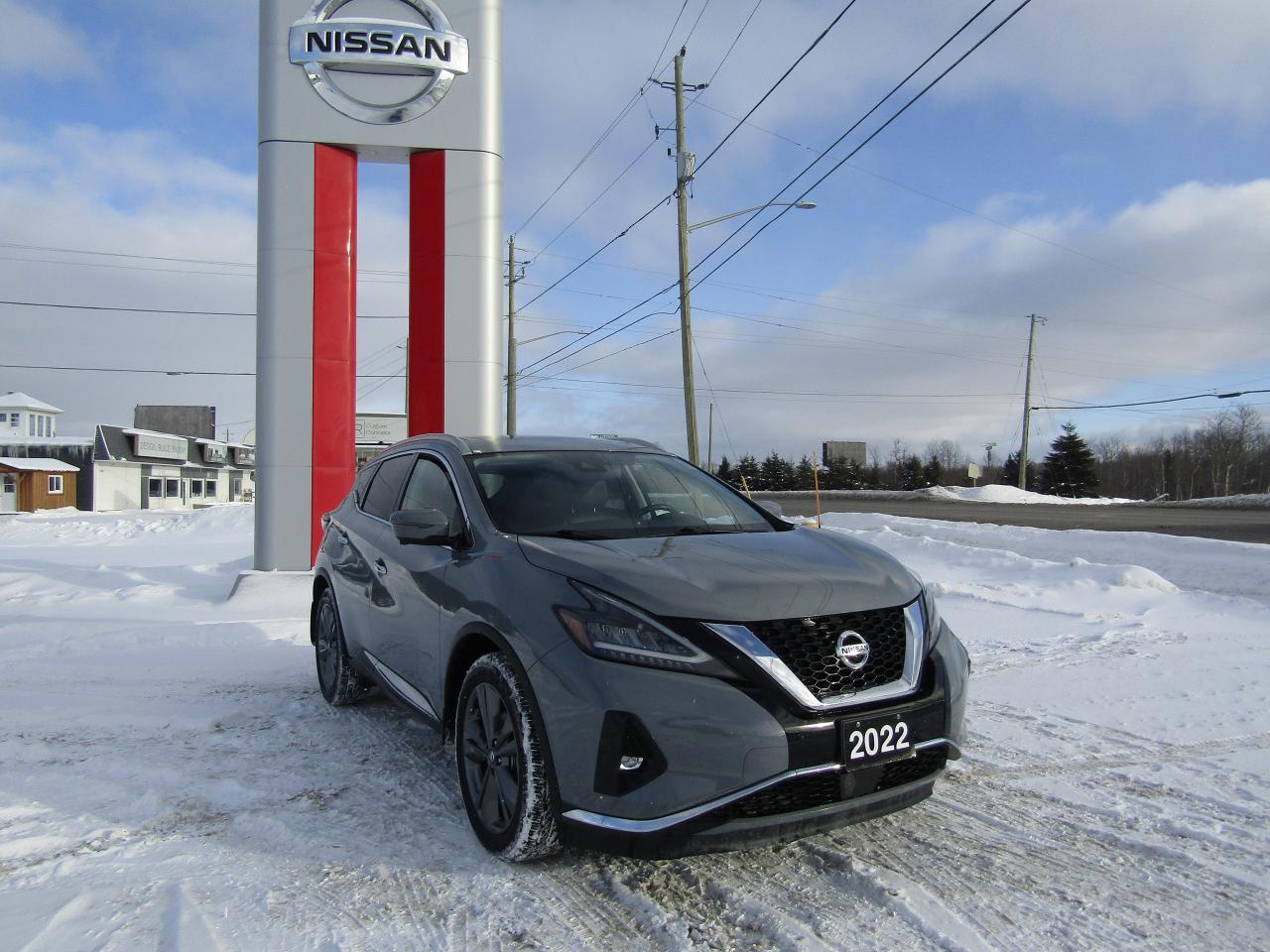 2022 Nissan Murano Platinum Photo2