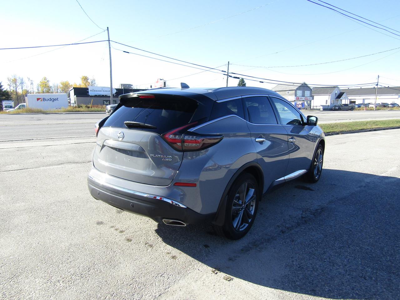 2022 Nissan Murano Platinum Photo