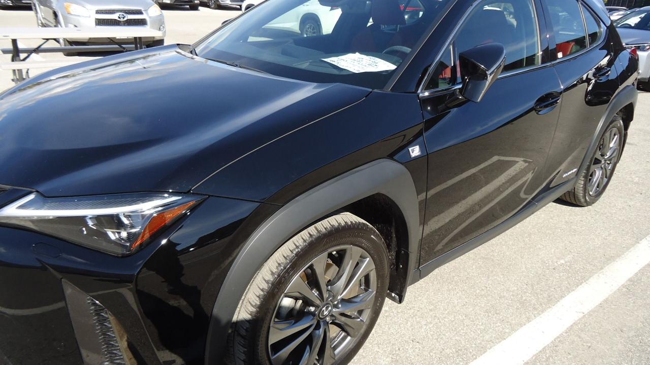 2020 Lexus UX UX 250H - Photo #6
