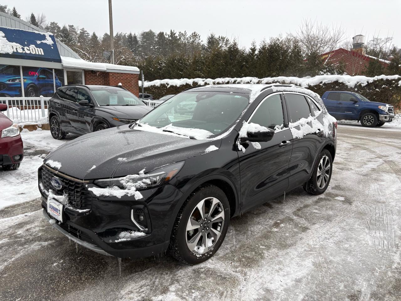 2023 Ford Escape Platinum Photo