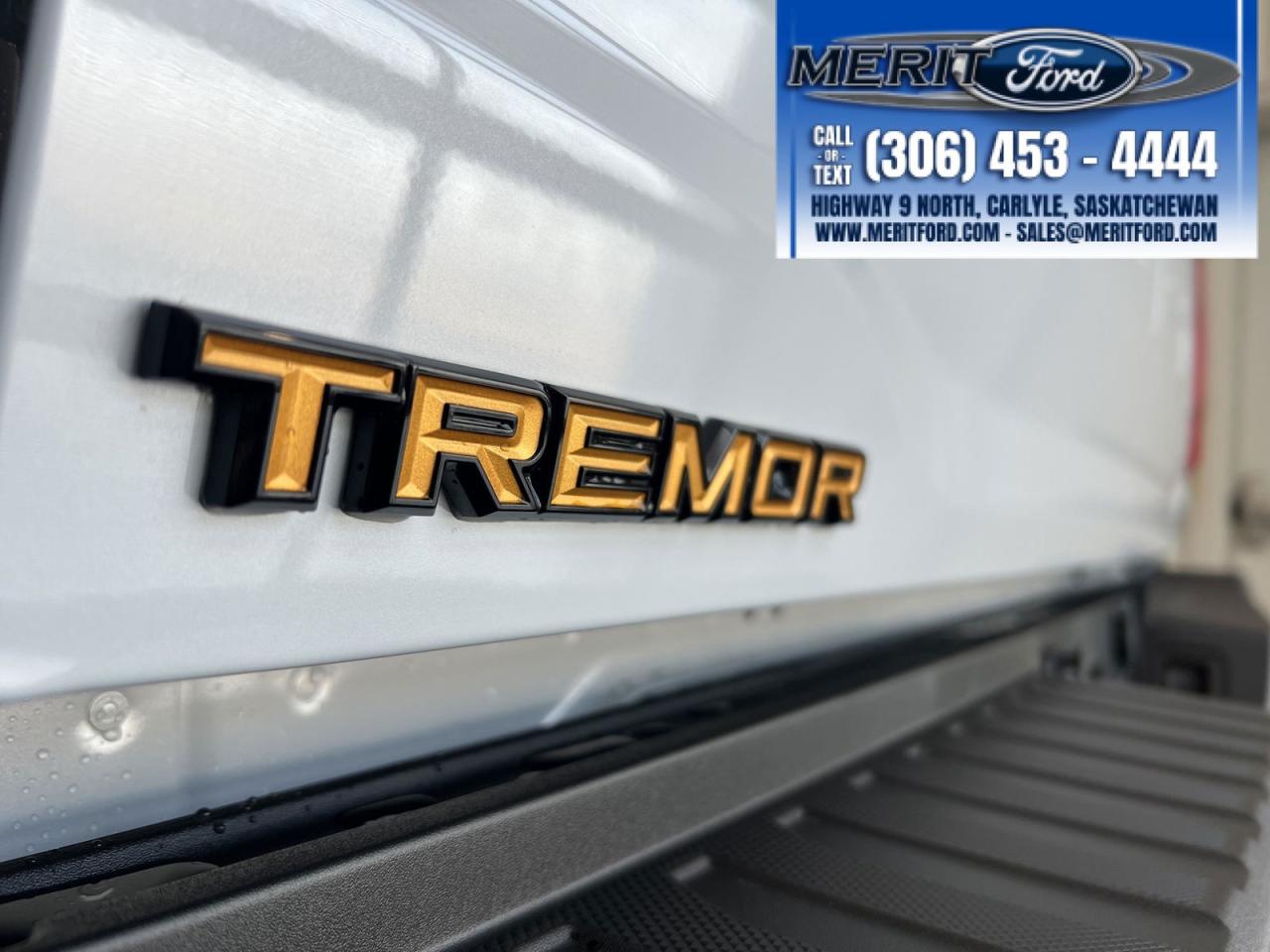 2025 Ford F-150 Tremor 3.5L Ecoboost, 401A ++ Photo4