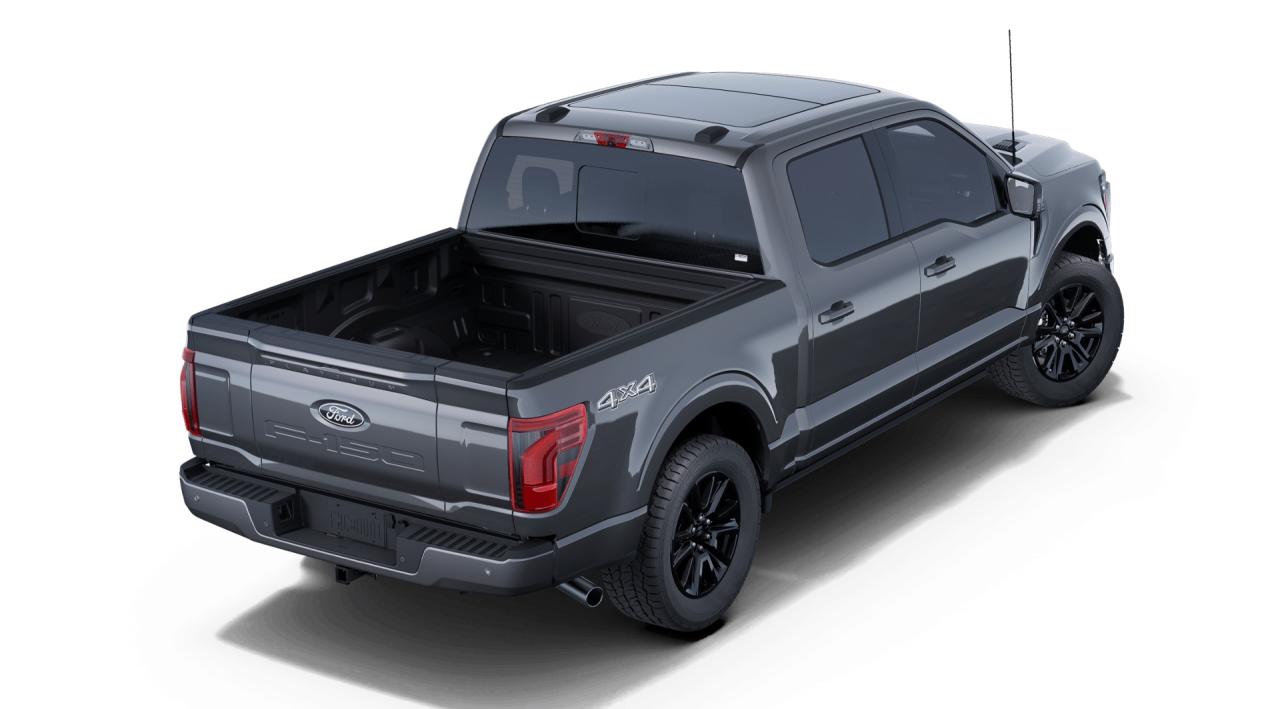 2025 Ford F-150 Platinum Photo