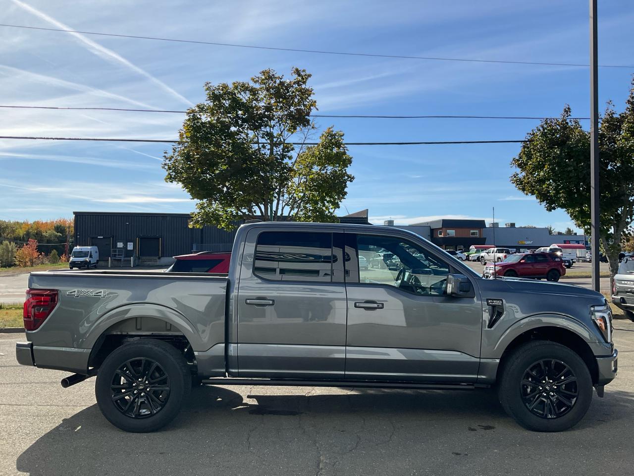 2025 Ford F-150 Platinum Photo