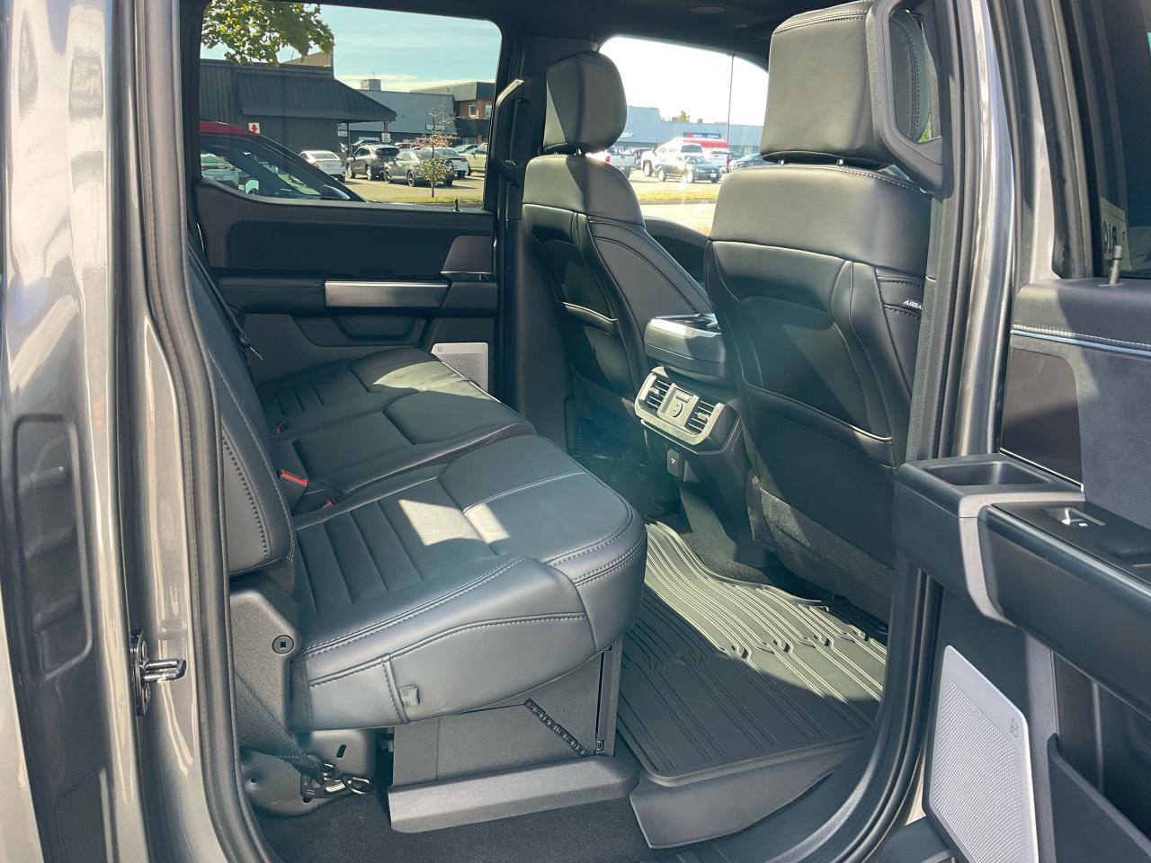 2025 Ford F-150 Platinum Photo5