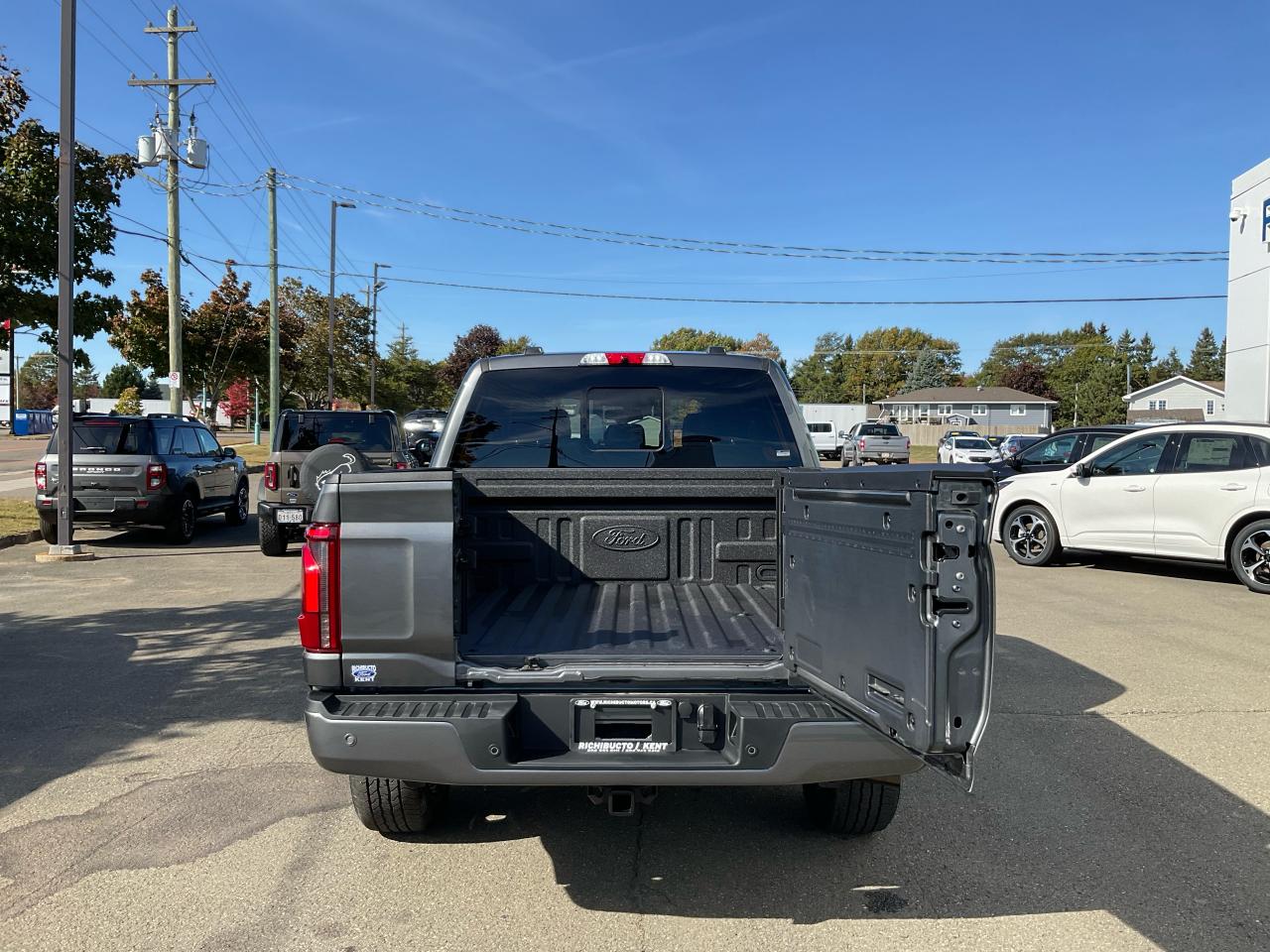 2025 Ford F-150 Platinum Photo5