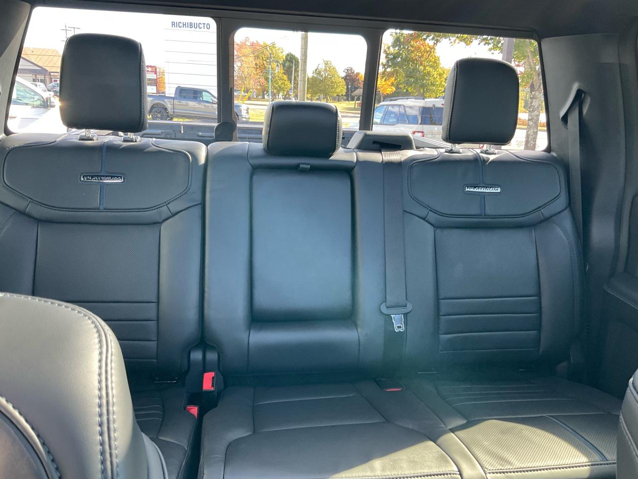 2025 Ford F-150 Platinum Photo5