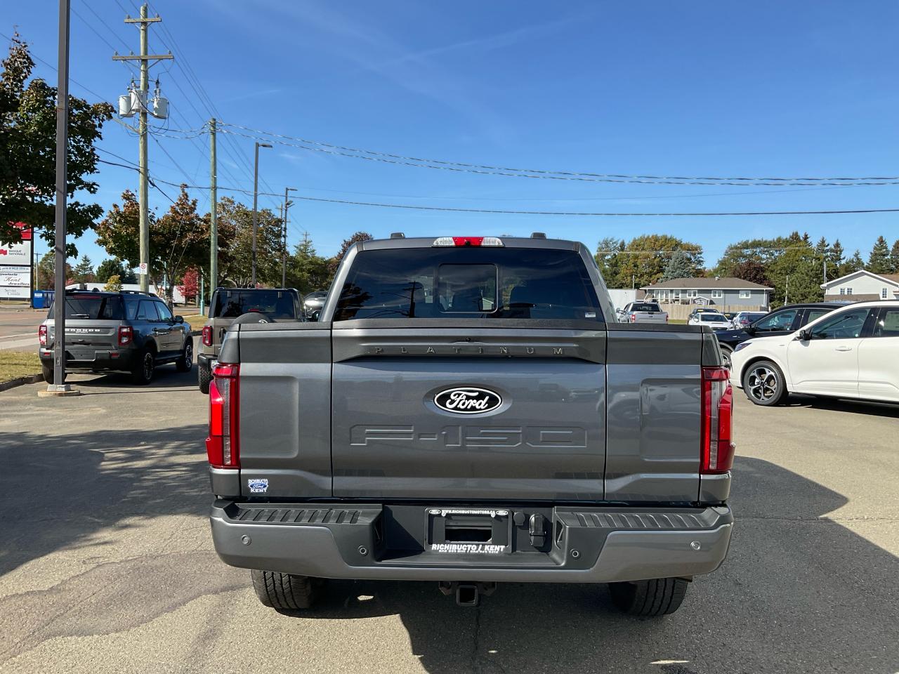 2025 Ford F-150 Platinum Photo5