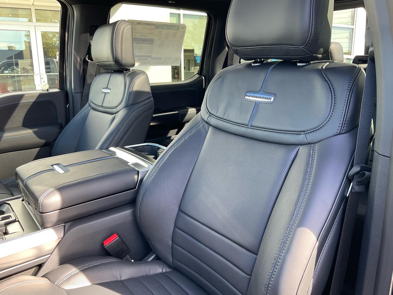 2025 Ford F-150 Platinum Photo5