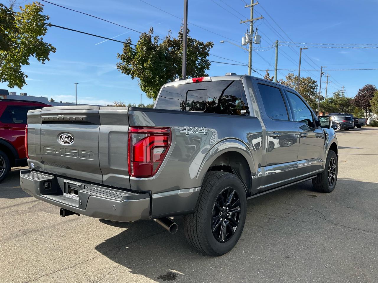 2025 Ford F-150 Platinum Photo4