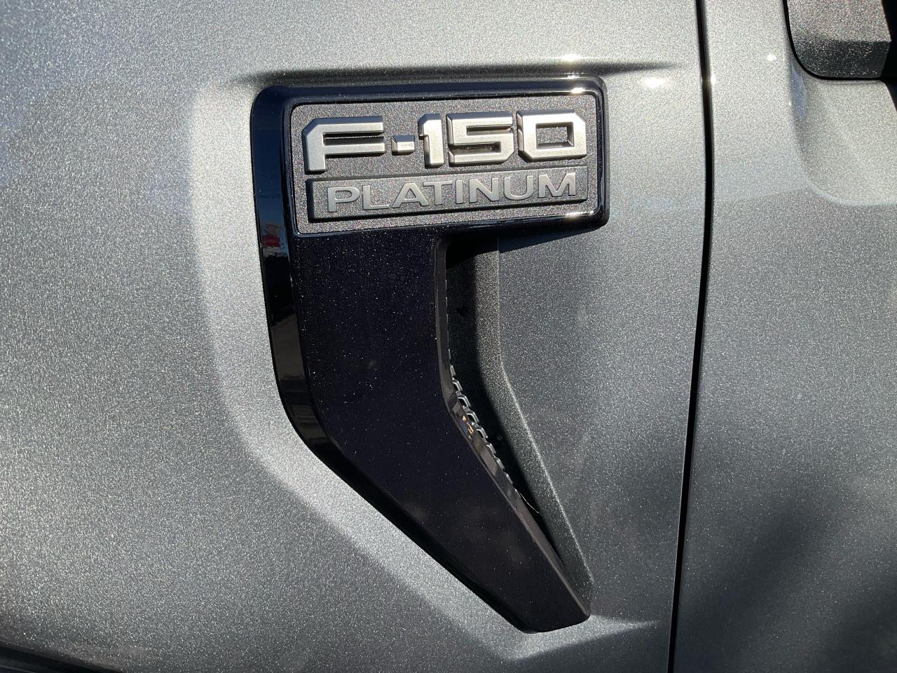 2025 Ford F-150 Platinum Photo5