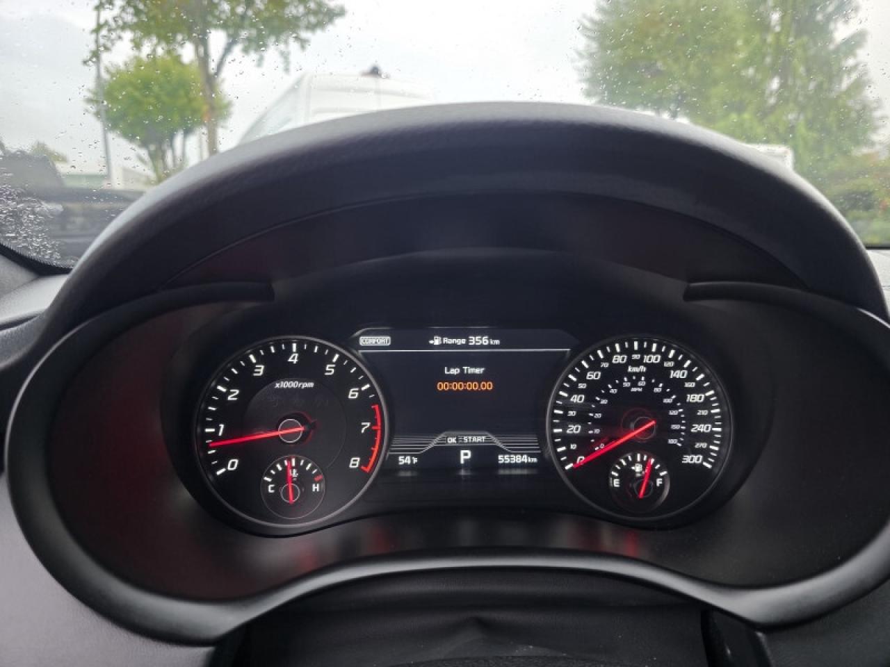 13065371