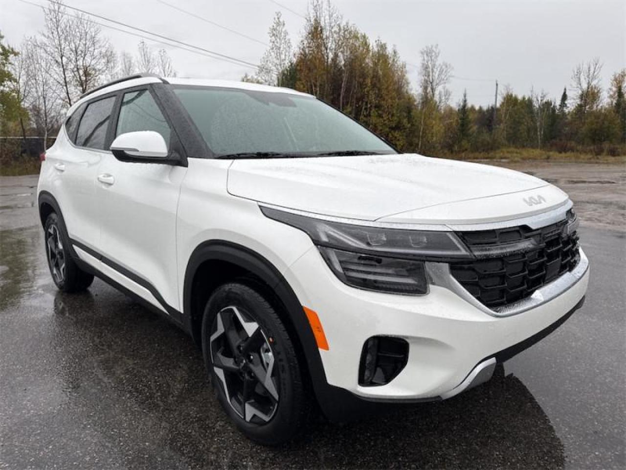 New 2026 Kia Seltos EX PREMIUM  Navigation GPS for sale in Timmins, ON