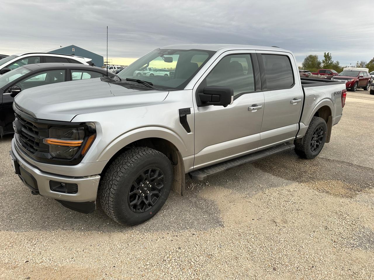 New 2025 Ford F-150 XLT 4WD SuperCrew 5.5' Box for sale in Elie, MB