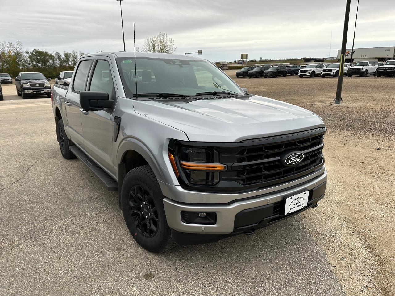 2025 Ford F-150 XLT 4WD SuperCrew 5.5' Box 302A Photo