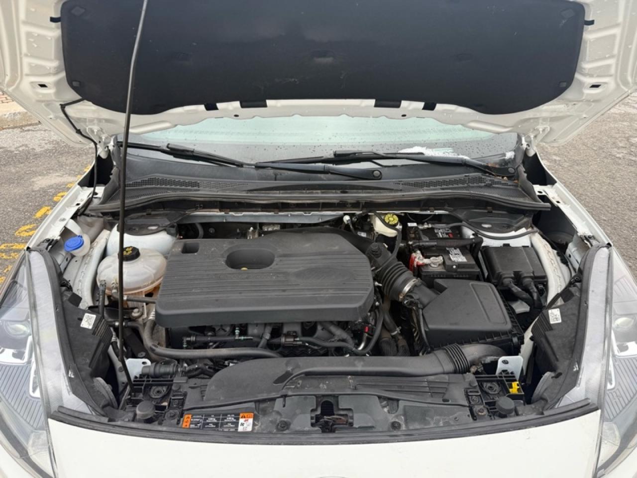 2020 Ford Escape SEL 4WD  - Power Liftgate -  Park Assist Photo