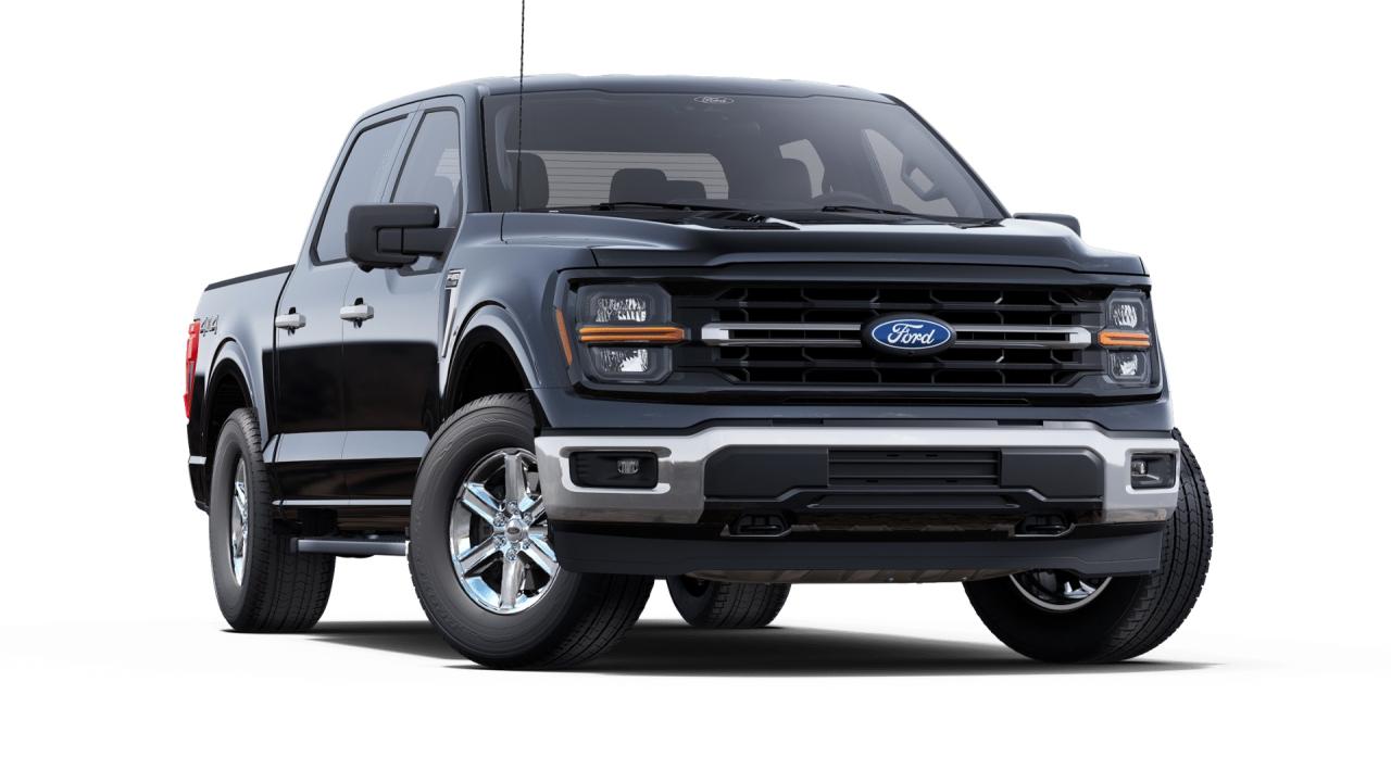 2025 Ford F-150 XLT Photo3
