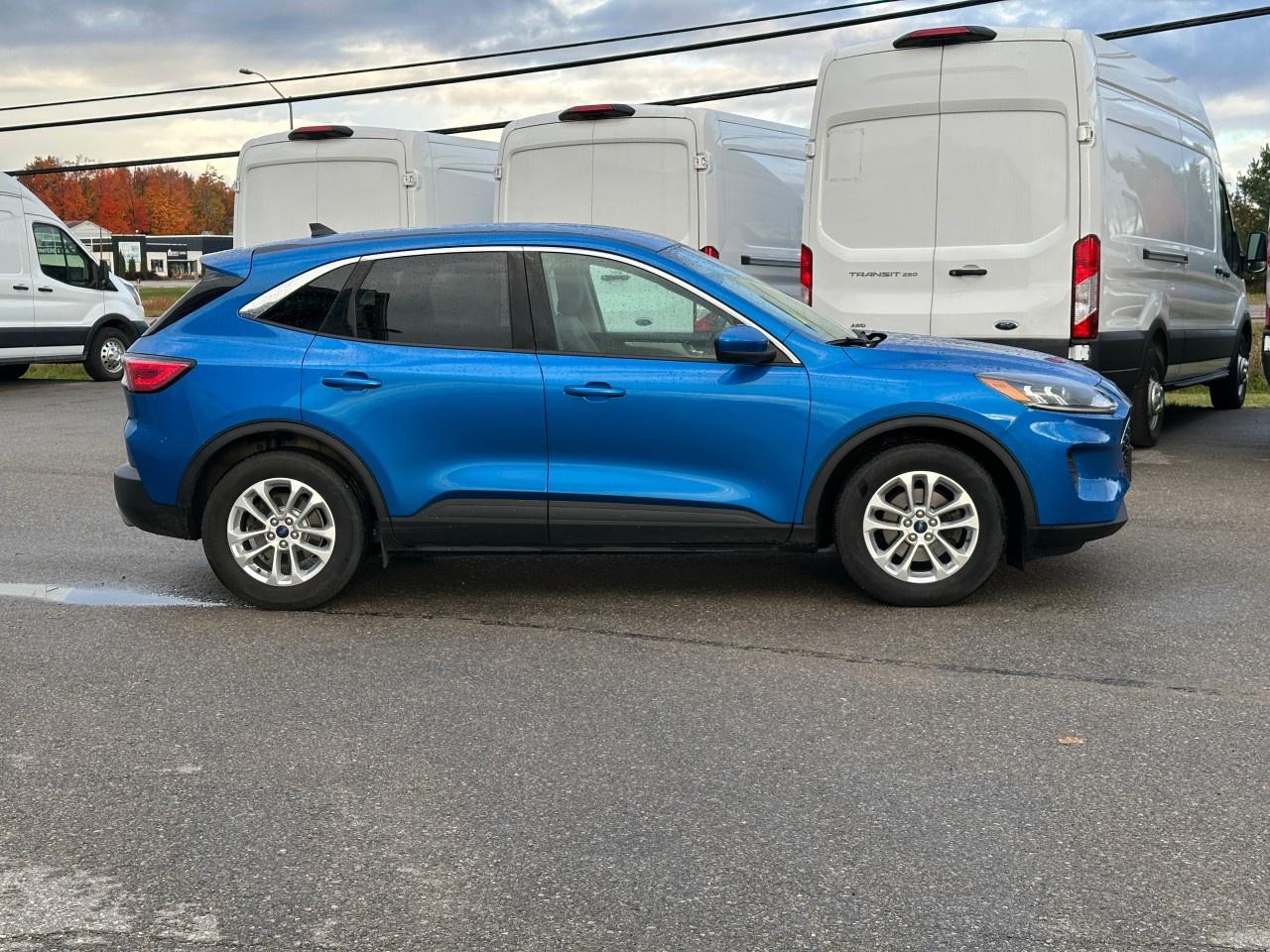 2020 Ford Escape SE FWD Photo