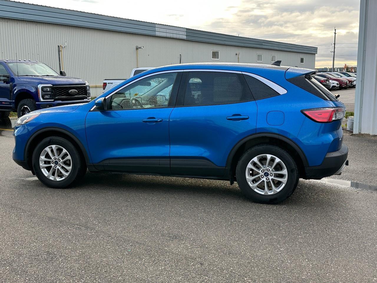2020 Ford Escape SE FWD Photo