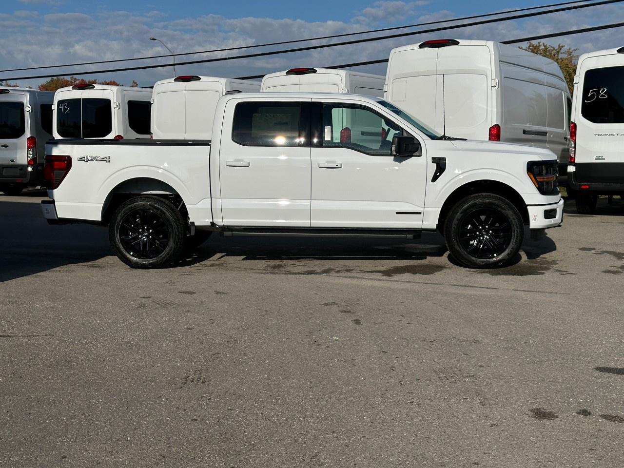 2025 Ford F-150 XLT 4WD SuperCrew 5.5' Box Photo