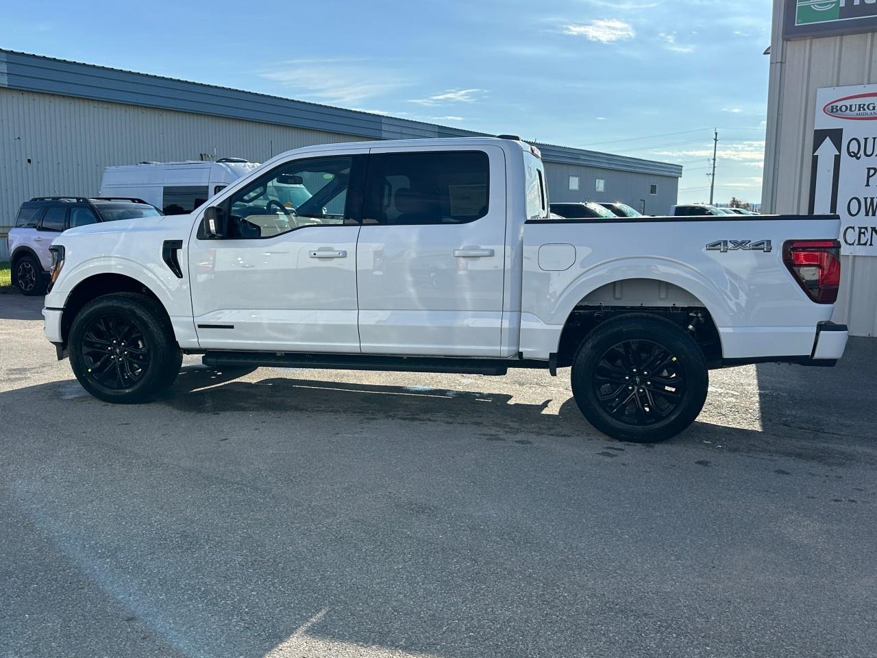 2025 Ford F-150 XLT 4WD SuperCrew 5.5' Box Photo