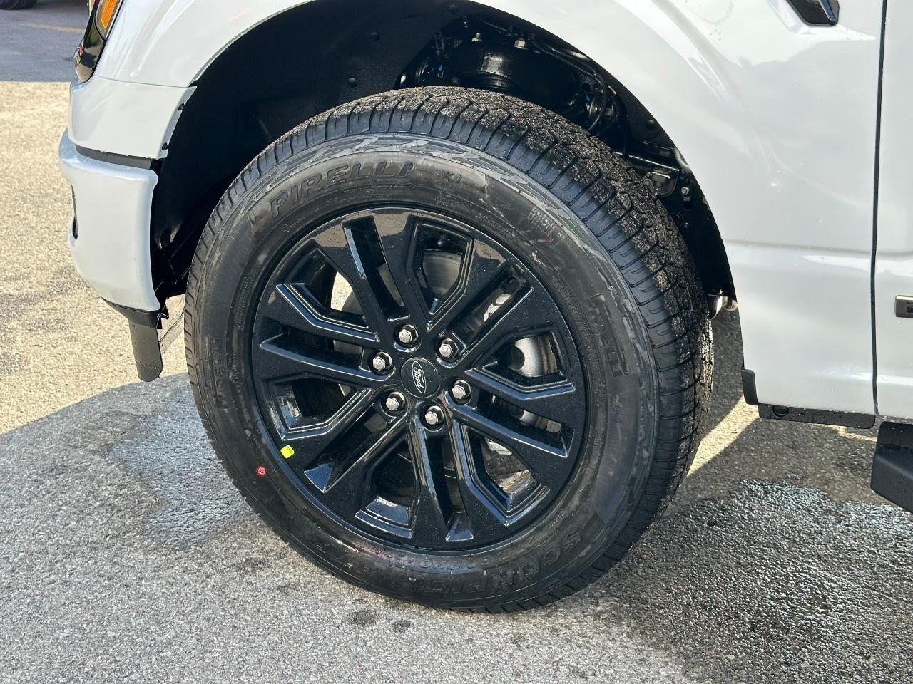 2025 Ford F-150 XLT 4WD SuperCrew 5.5' Box Photo