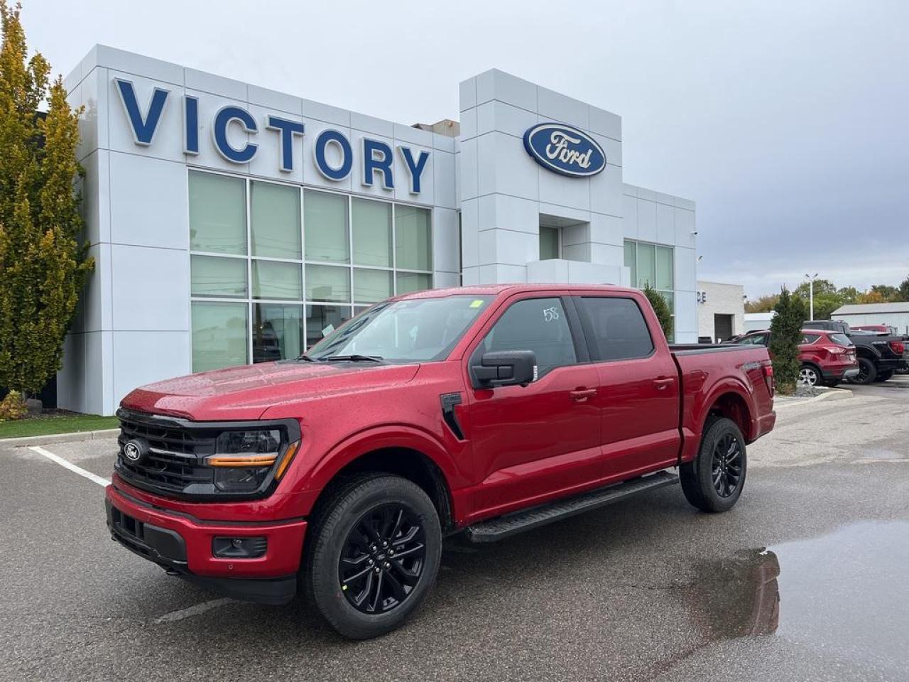 New 2025 Ford F-150 XLT for sale in Chatham, ON