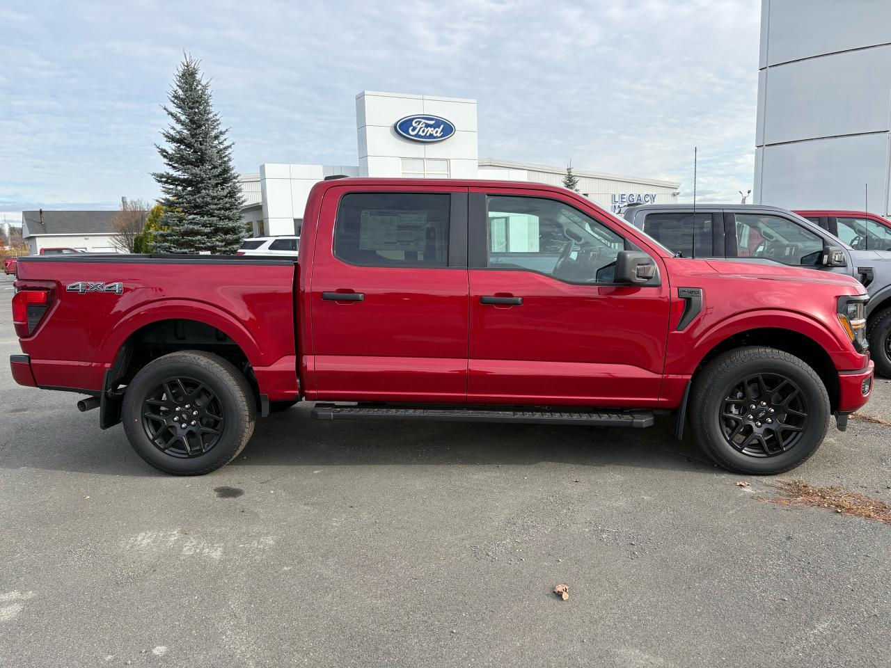 2025 Ford F-150 STX® Photo