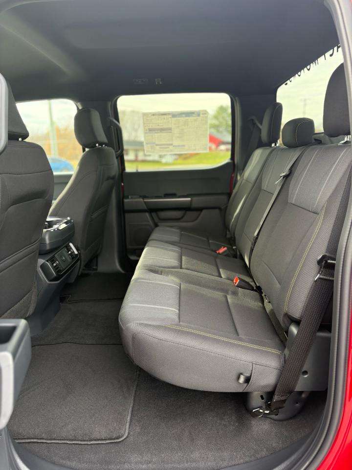 2025 Ford F-150 STX® Photo