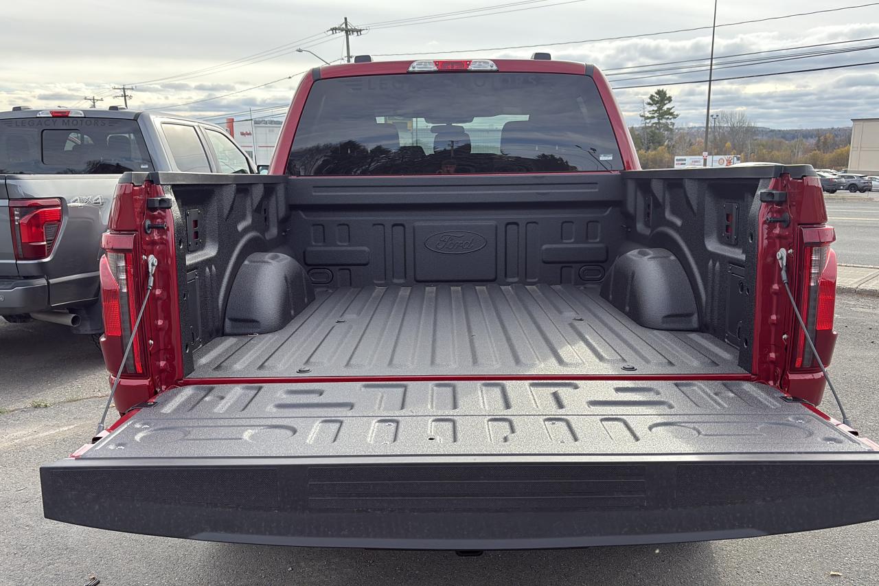 2025 Ford F-150 STX® Photo