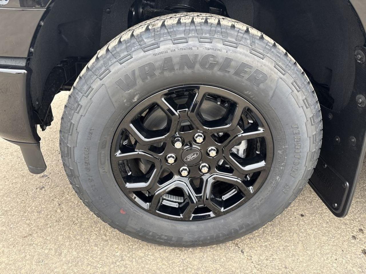 2025 Ford F-150 XLT 5.5' Box 302A Photo