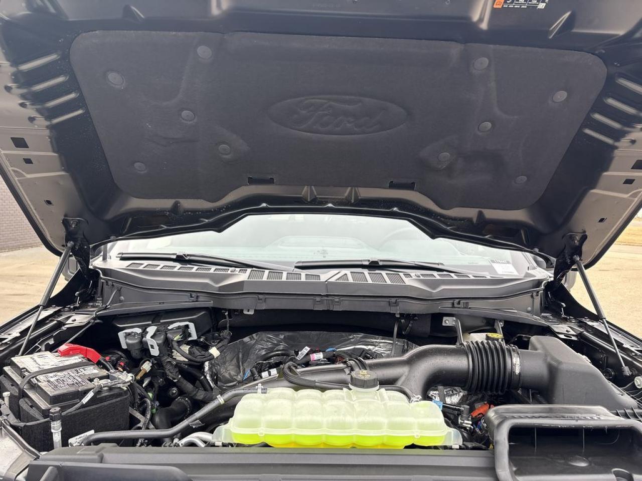 2025 Ford F-150 XLT 5.5' Box 302A Photo5