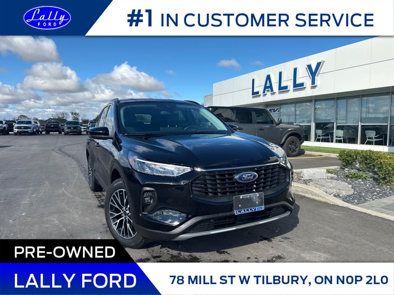 Used 2025 Ford Escape PHEV One Owner, Only 7,640 kms, Mint! for sale in Tilbury, ON