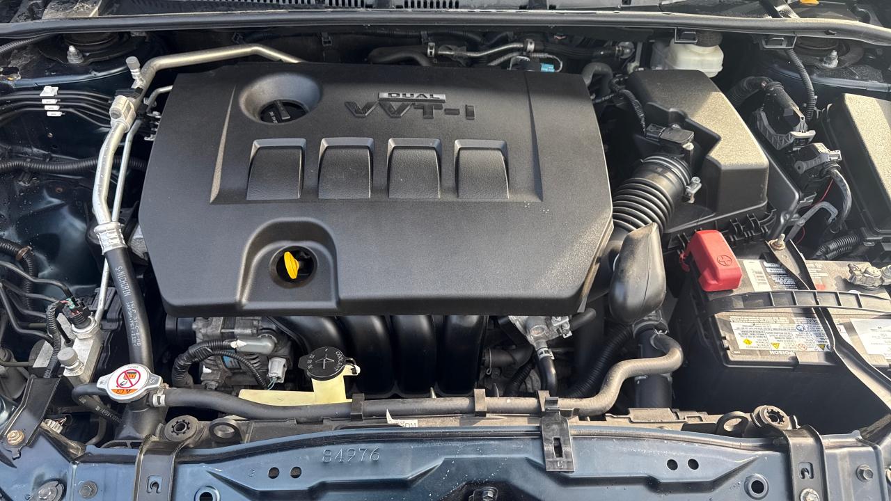 2019 Toyota Corolla LE Photo