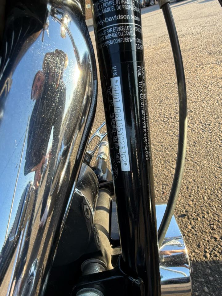 2003 Harley-Davidson FXDL Dyna Low Rider LOW RIDER, FXDL, ANNIVERSARY, EXHAUST, INTAKE, - Photo #6
