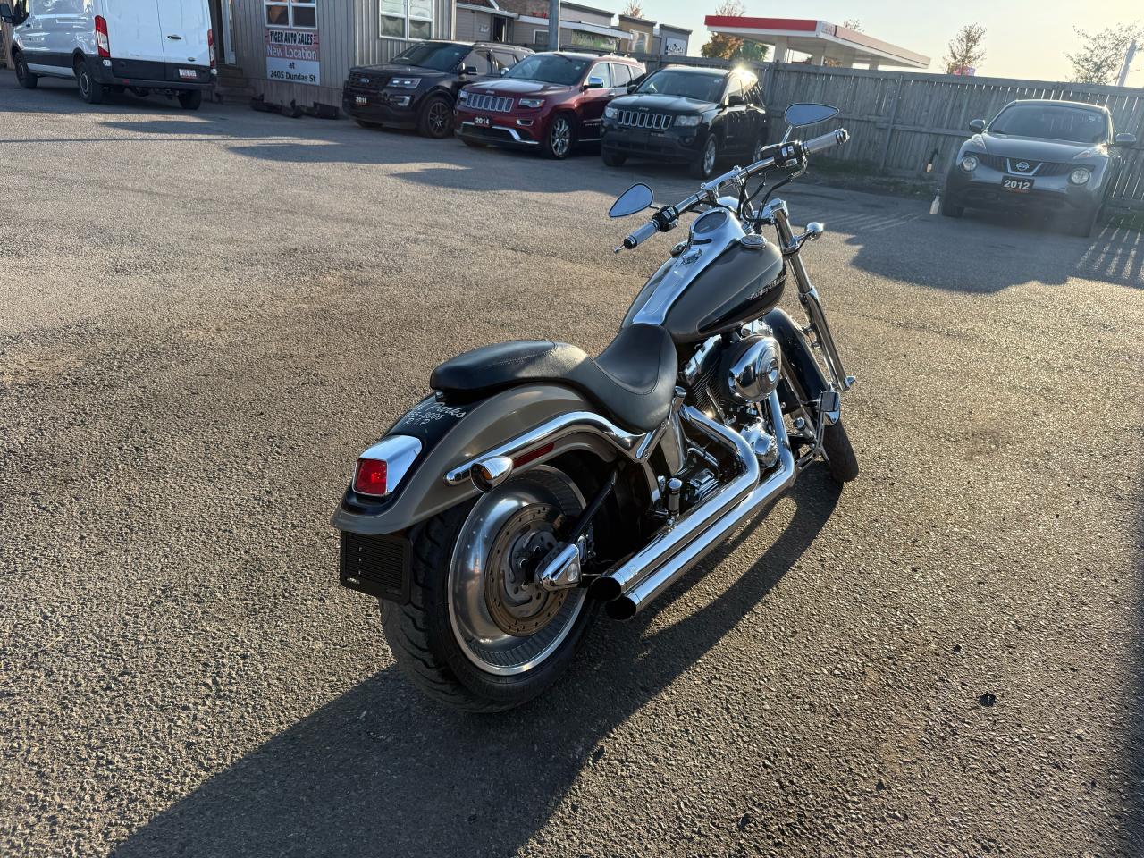 2003 Harley-Davidson FXDL Dyna Low Rider LOW RIDER, FXDL, ANNIVERSARY, EXHAUST, INTAKE, Photo3