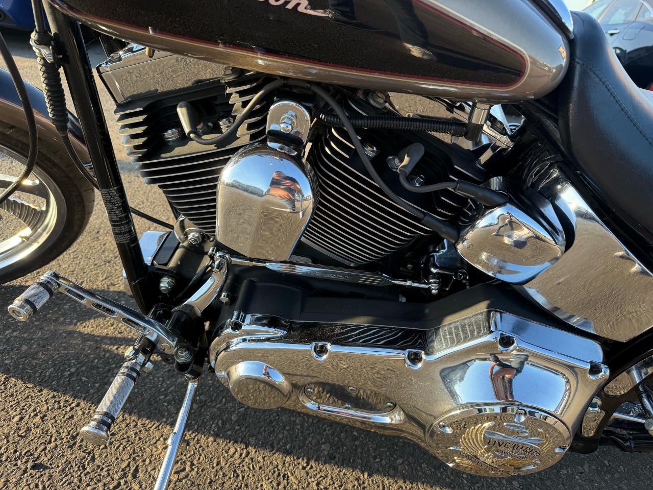 2003 Harley-Davidson FXDL Dyna Low Rider LOW RIDER, FXDL, ANNIVERSARY, EXHAUST, INTAKE, - Photo #8