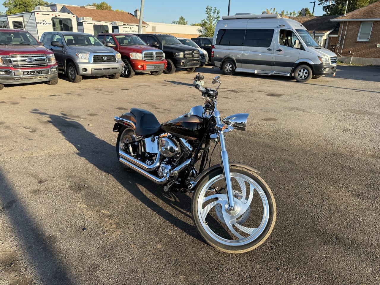 2003 Harley-Davidson FXDL Dyna Low Rider LOW RIDER, FXDL, ANNIVERSARY, EXHAUST, INTAKE, - Photo #12
