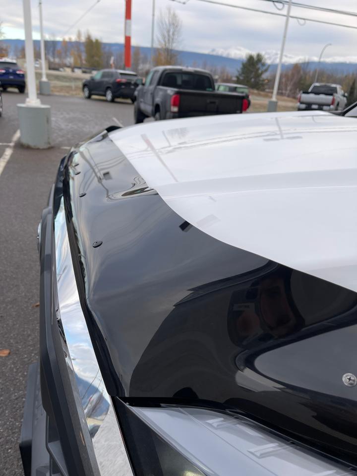 2024 Toyota Tundra TRD Off Road L Photo