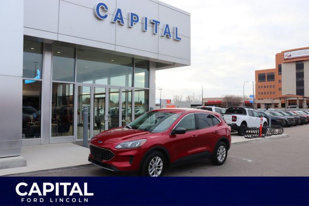 Used 2022 Ford Escape SE for sale in Winnipeg, MB