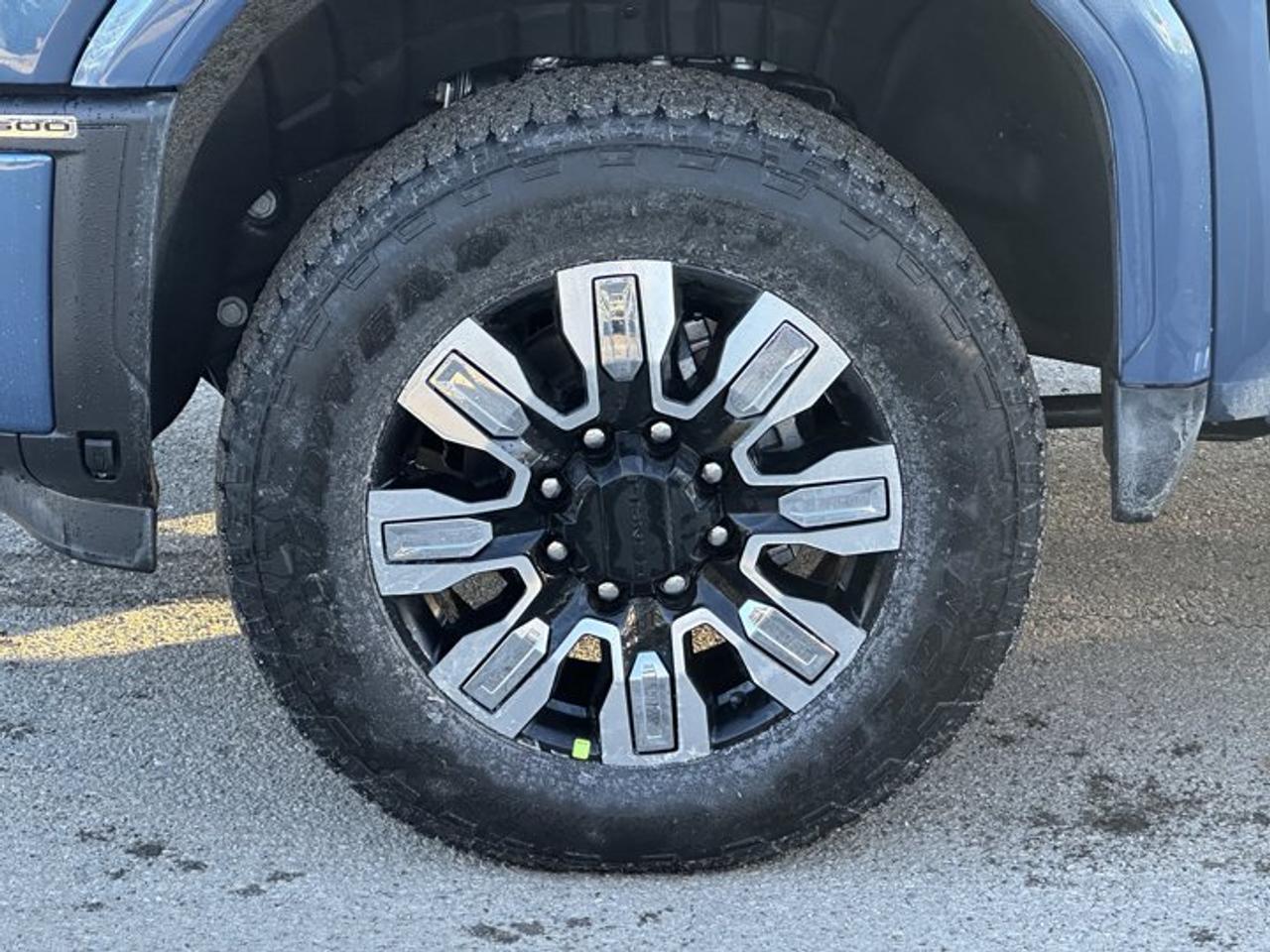 13069195