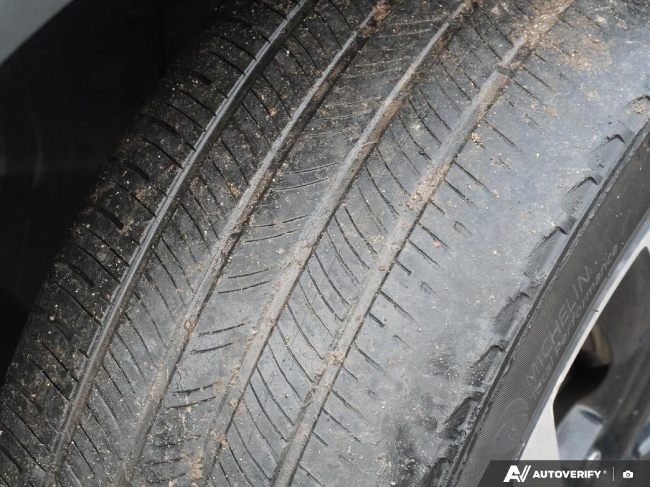 2023 Kia Sportage  Photo