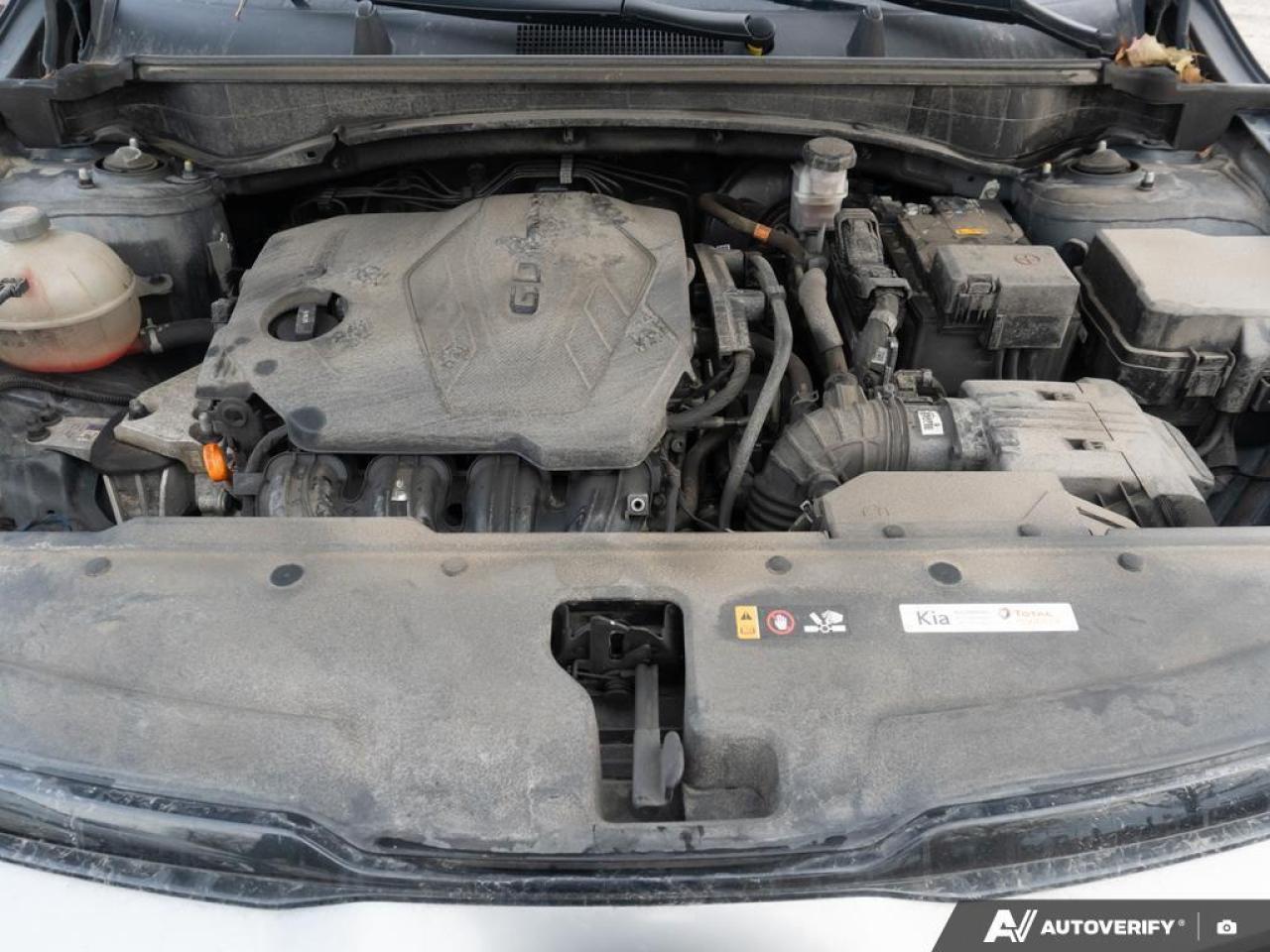 2023 Kia Sportage  Photo