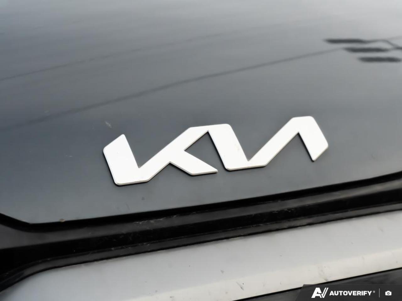 2023 Kia Sportage  Photo