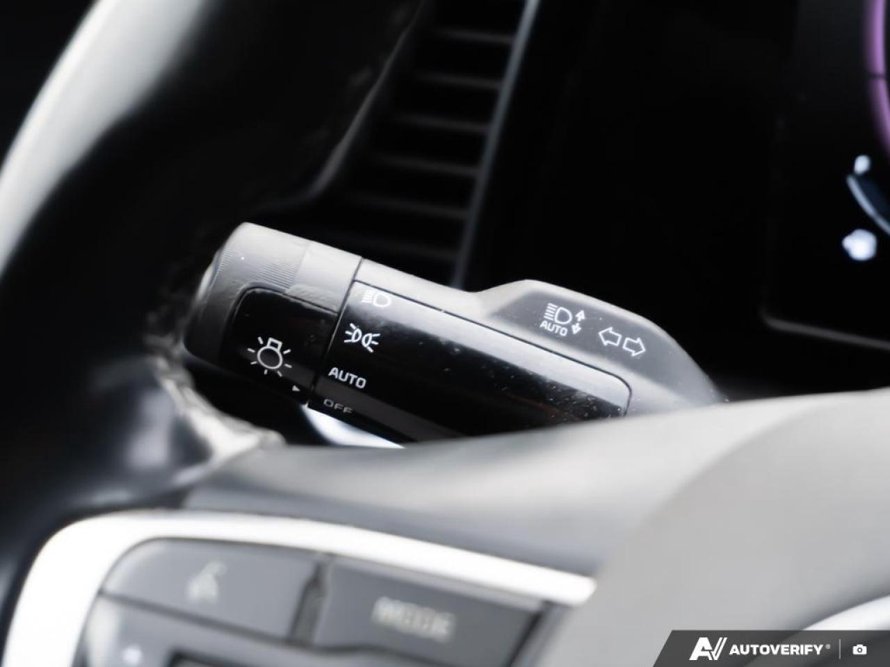 2023 Kia Sportage  Photo