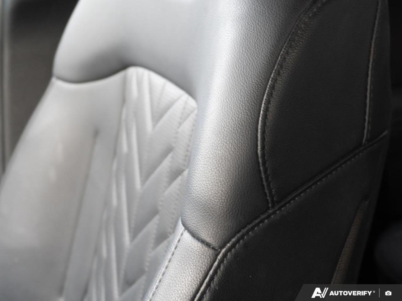 2023 Kia Sportage  Photo